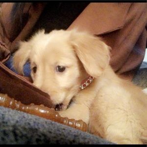 Meet your Posher, Brenda